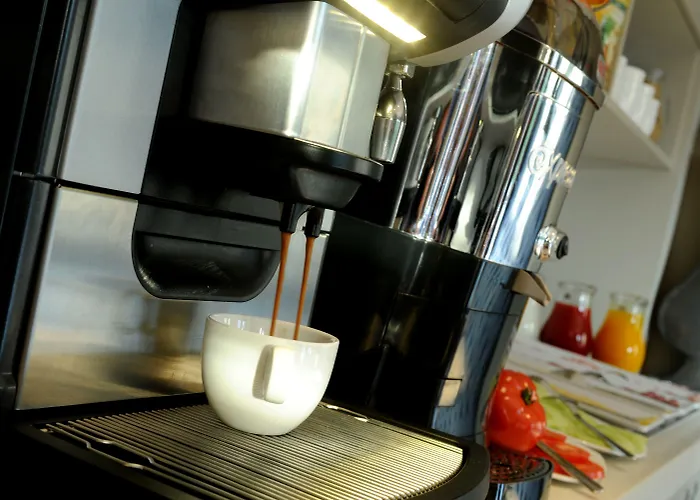 Blue Mansion 3* Aalsmeer